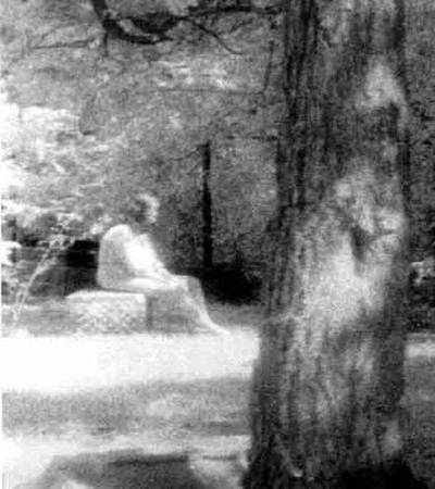 ghost of bachelor grove cemetery