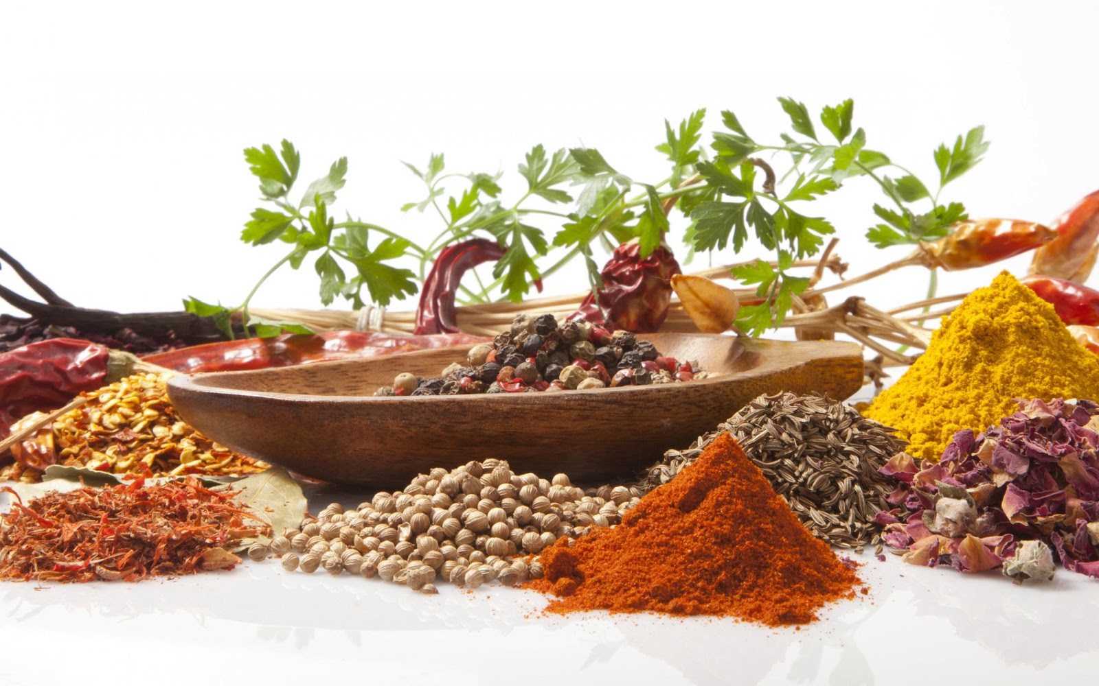 CEYLON SPICES FOR THE FUTURE Number One Travel Destination