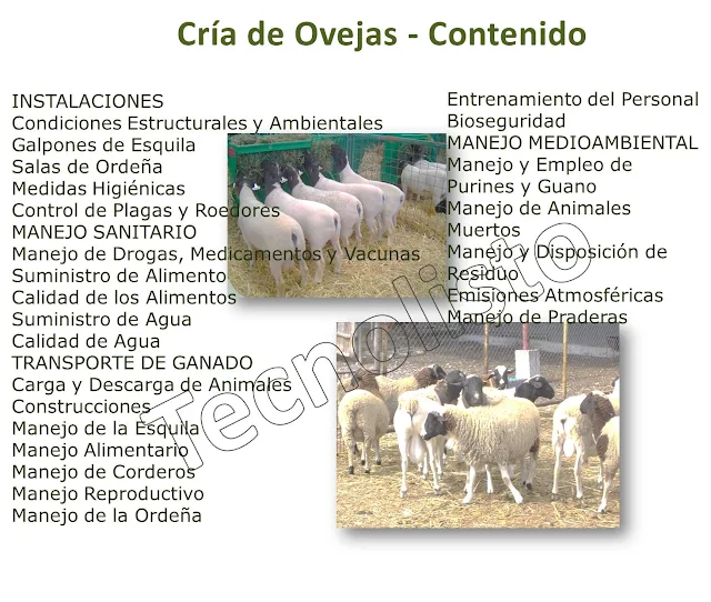 "Contenido del Manual Cría de Ovejas"