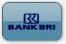 bri_logo