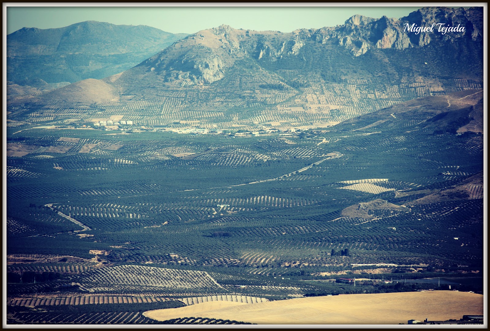 Desde la ventana de mi ciudad Valle del Guadalquivir