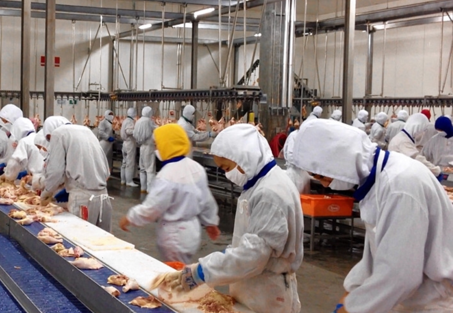 Taiwan Hiring Factory Workers for Food company PINOY REFRESHER