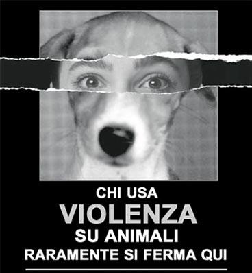Presa Di Coscienza: Crudeltà su Animali e Violenza Domestica Interpersonale