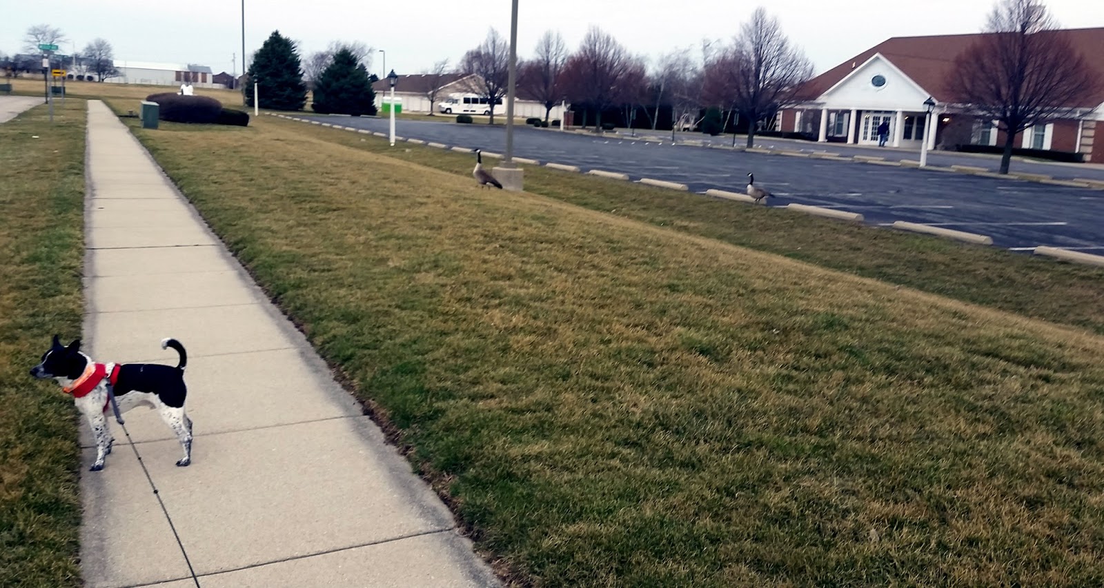 Joy's daily aside One minute of joy for your day. Looking At Grief