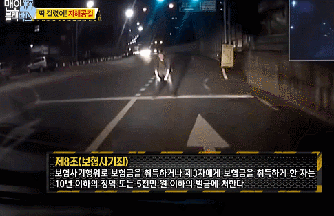 도로위의 자해공갈.gif | 인스티즈