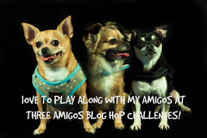 Three Amigos Blog Hop Challenges