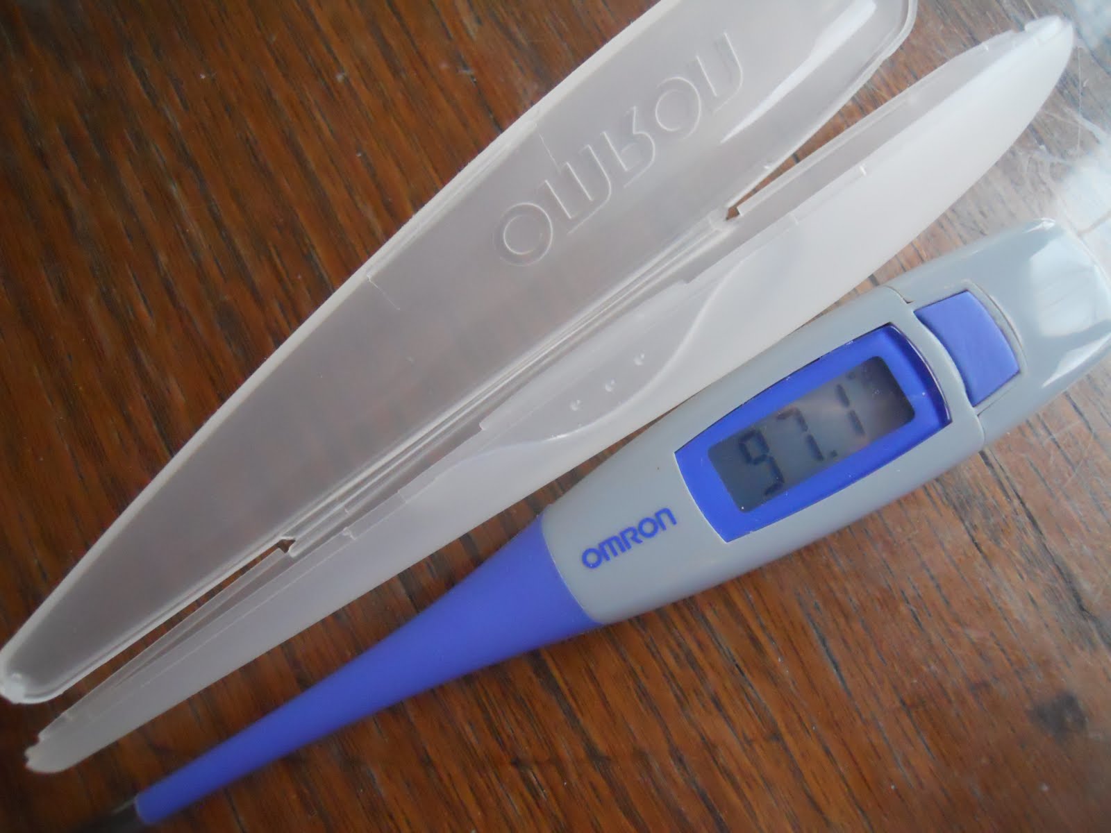 Day's View Photo 98/365 Fever