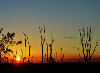 Florida Everglades sunset