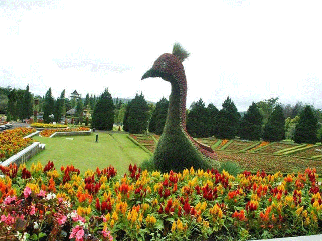 Taman Bunga Cihedeung