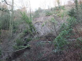 Jesmond Dene Landslide