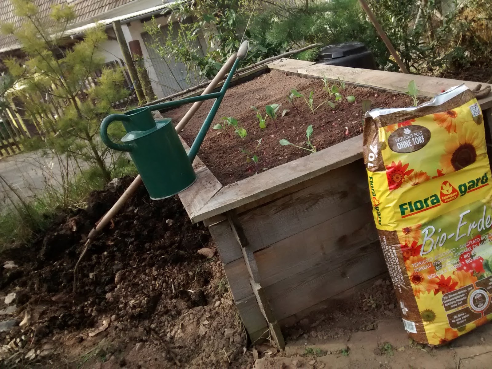 Garten Anfang Januar Bei 12 C Karl Erwin Und Die Frau Ein