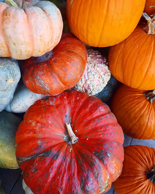 Pumpkin, fall, autumn, October, weekend