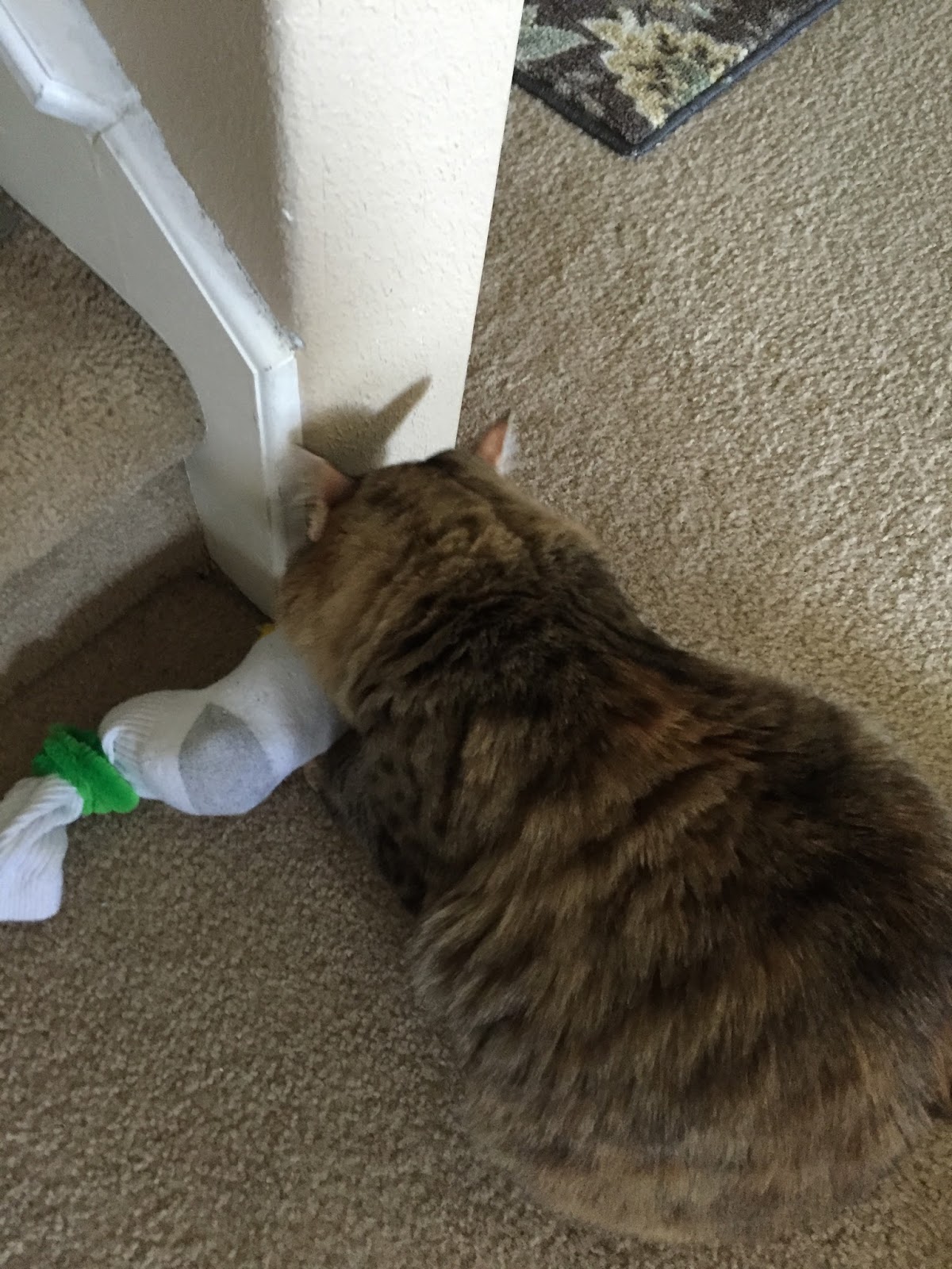 Airing My Laundry, One Post At A Time... How To Make A Cat Toy Out Of