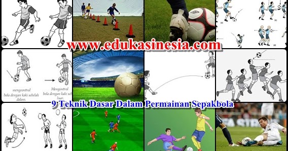 Jelaskan Prinsip Dasar Teknik Yang Digunakan Untuk Menghasilkan Tanaman