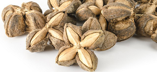 Semilla de sacha inchi para adelgazar