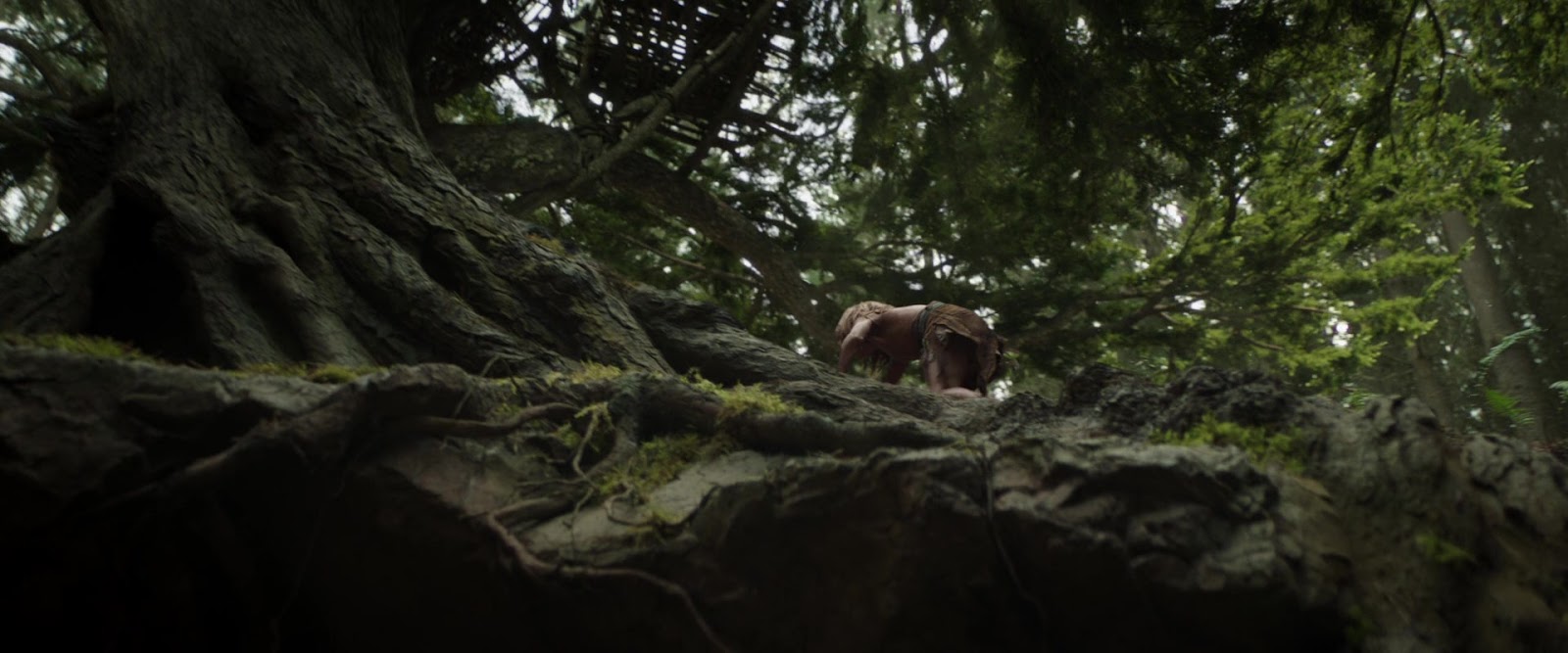 пит и его дракон качество