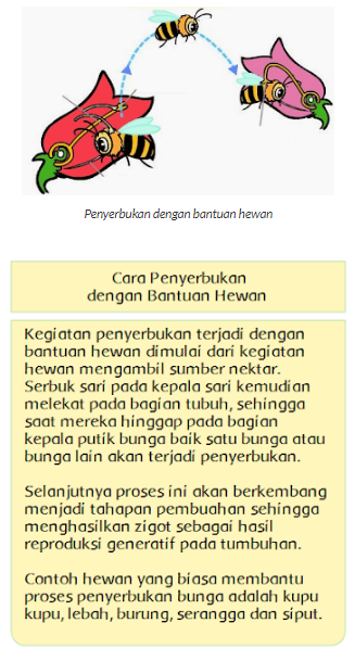 Kunci Jawaban Kelas 6 Tema 1 Selamatkan Mahkluk Hidup Halaman 2 Dan 6 Biologizone