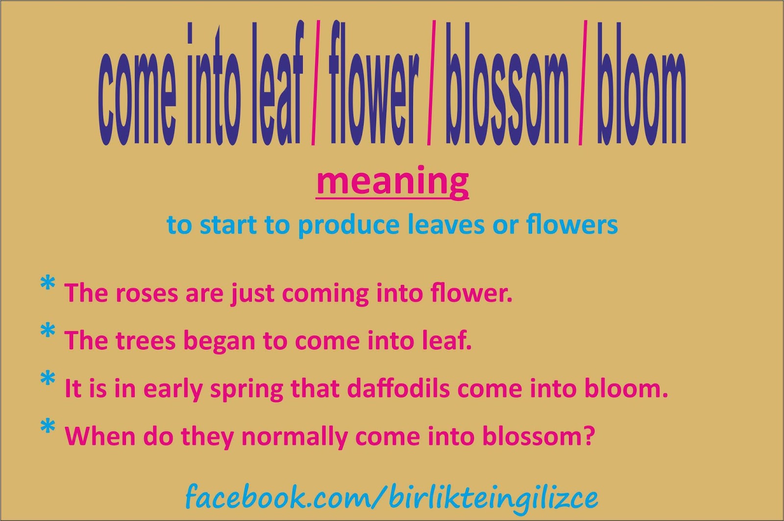 İngilizce Deyimler ve İfadeler 76 Evire Çevire İngilizce