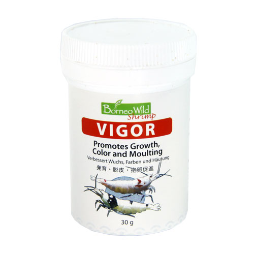 vigor natural health vigor natural health
