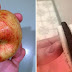 12 IMAGENS DE COMIDAS QUE VÃO TE CAUSAR AQUELE INCÔMODO