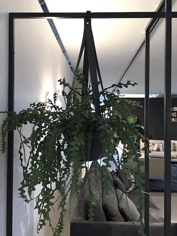 25hours Hotel The Circle Cologne Eboni Ivory