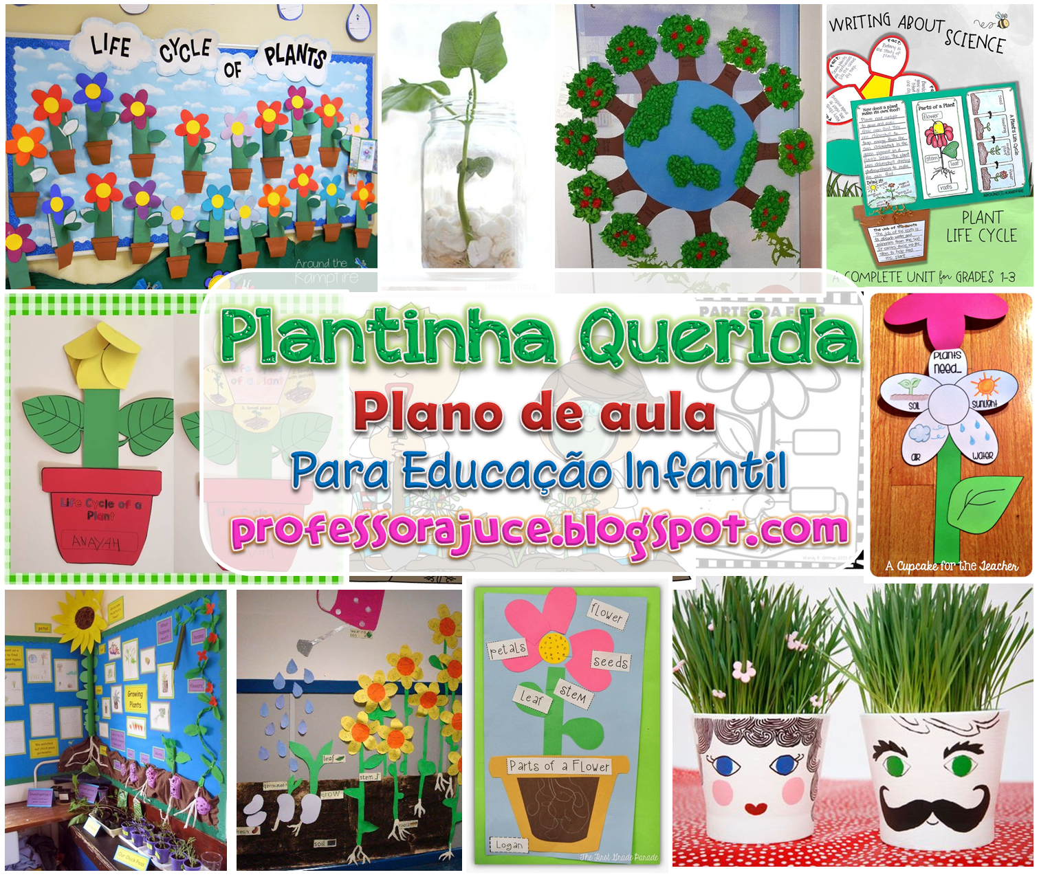 Atividade - As Plantas e A Fotossíntese - Tudo Sala de Aula