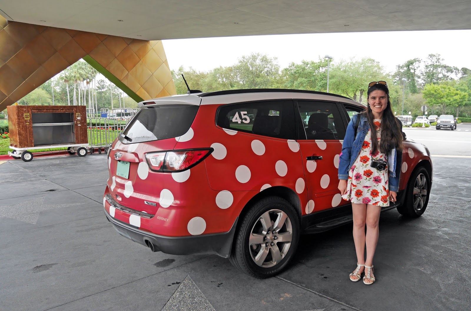 minnie mouse van