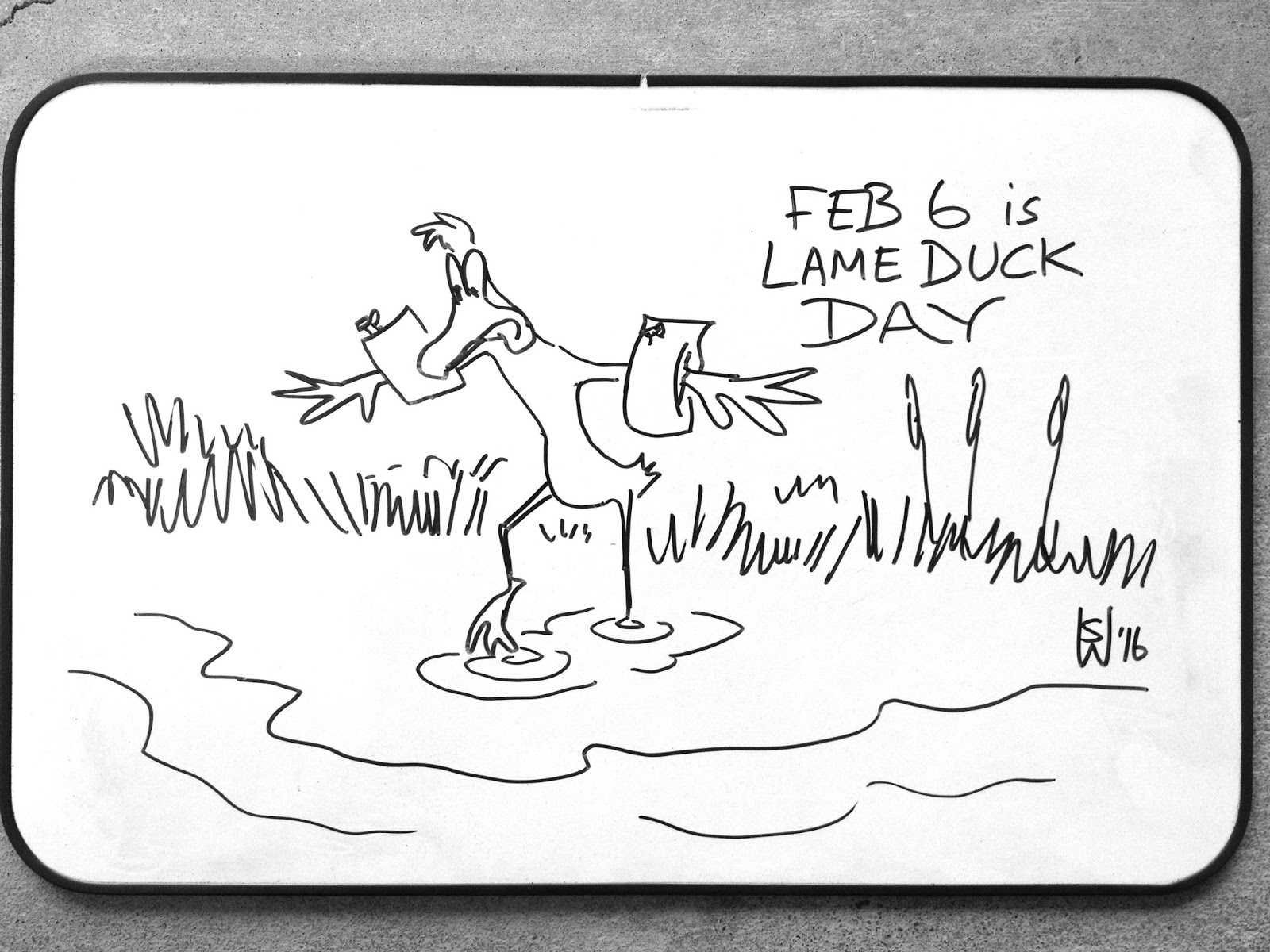 День хромой утки День хромой утки