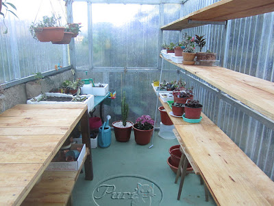 Mi Jardiny mi Huerto: Mi invernadero