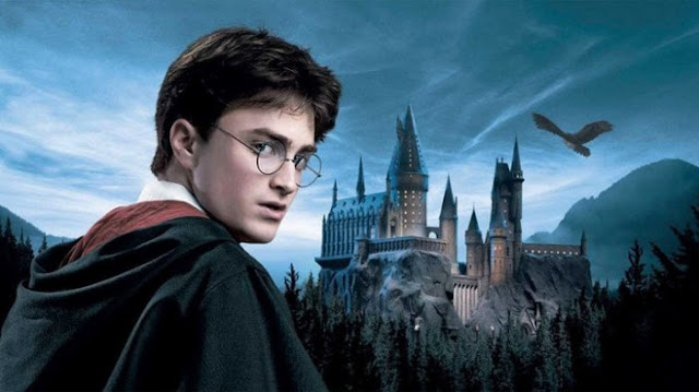 Akibat Novel Harry Potter CEO Muda Ini Dapat Keliling 30 Negara