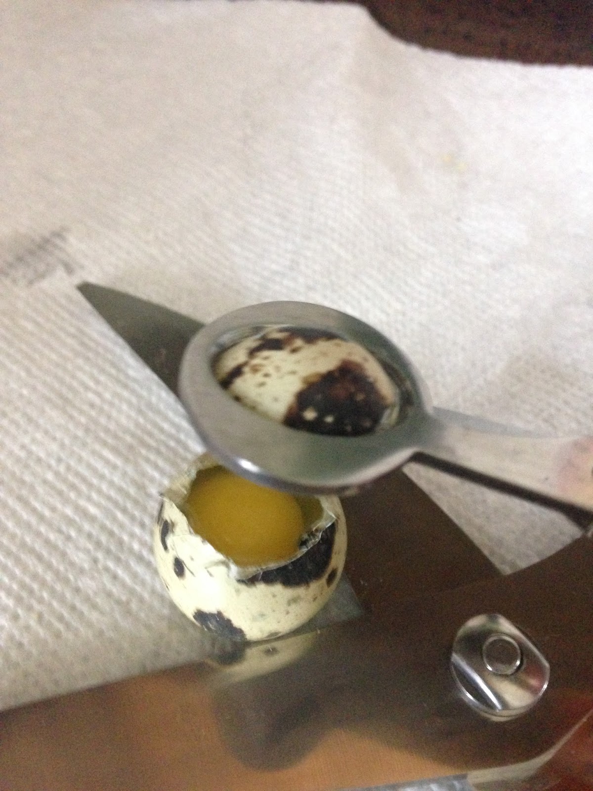 Midnight Acres Farm How to Crack a Quail Egg