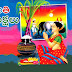 Here is Sankranthi Telugu Greetings multi colour greetings card for free download 