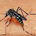 Primeiro caso autóctone de zika vírus em 2019 no RS é confirmado por Secretaria de Saúde