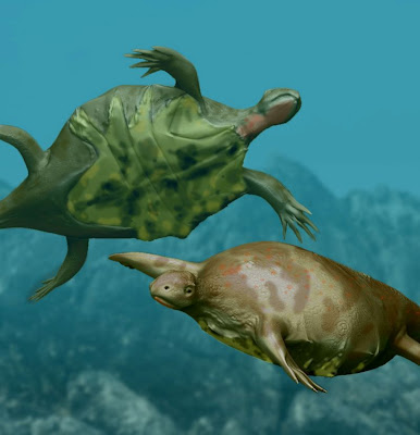 tortugas prehistoricas Odontochelys