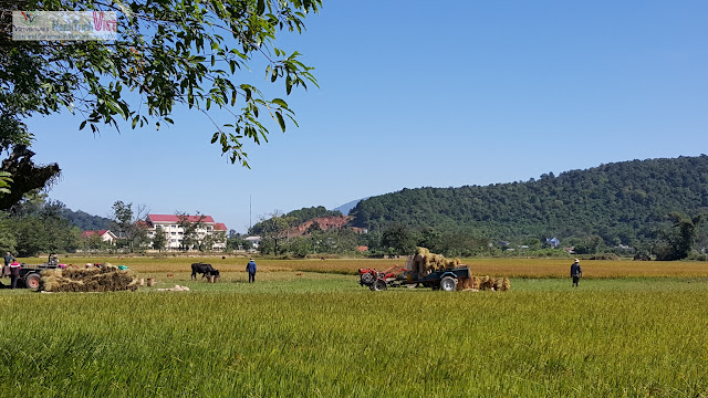 Tham quan làng M'nong trên hồ Lak