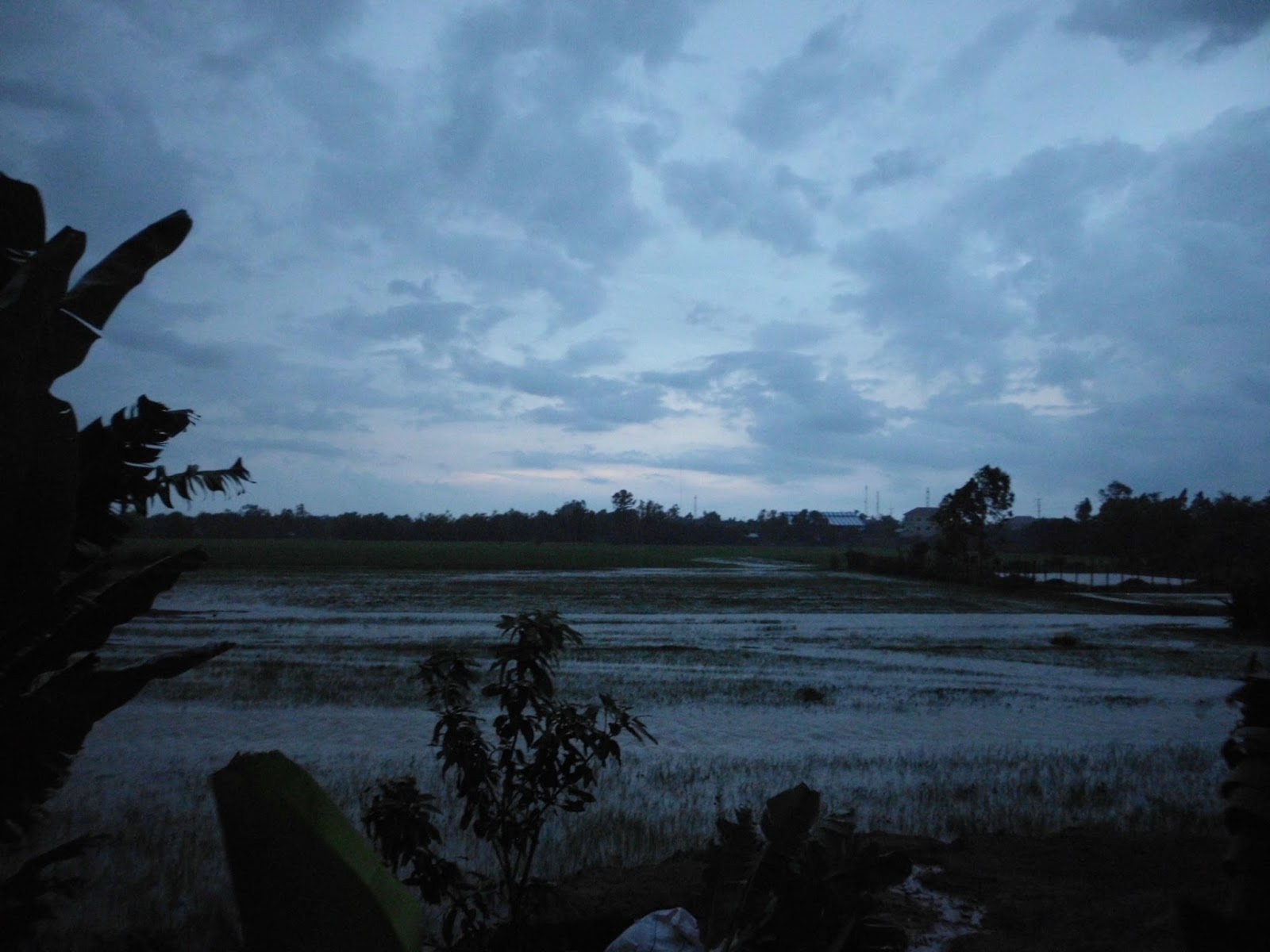 Ausland Unter den Blinden, ist der