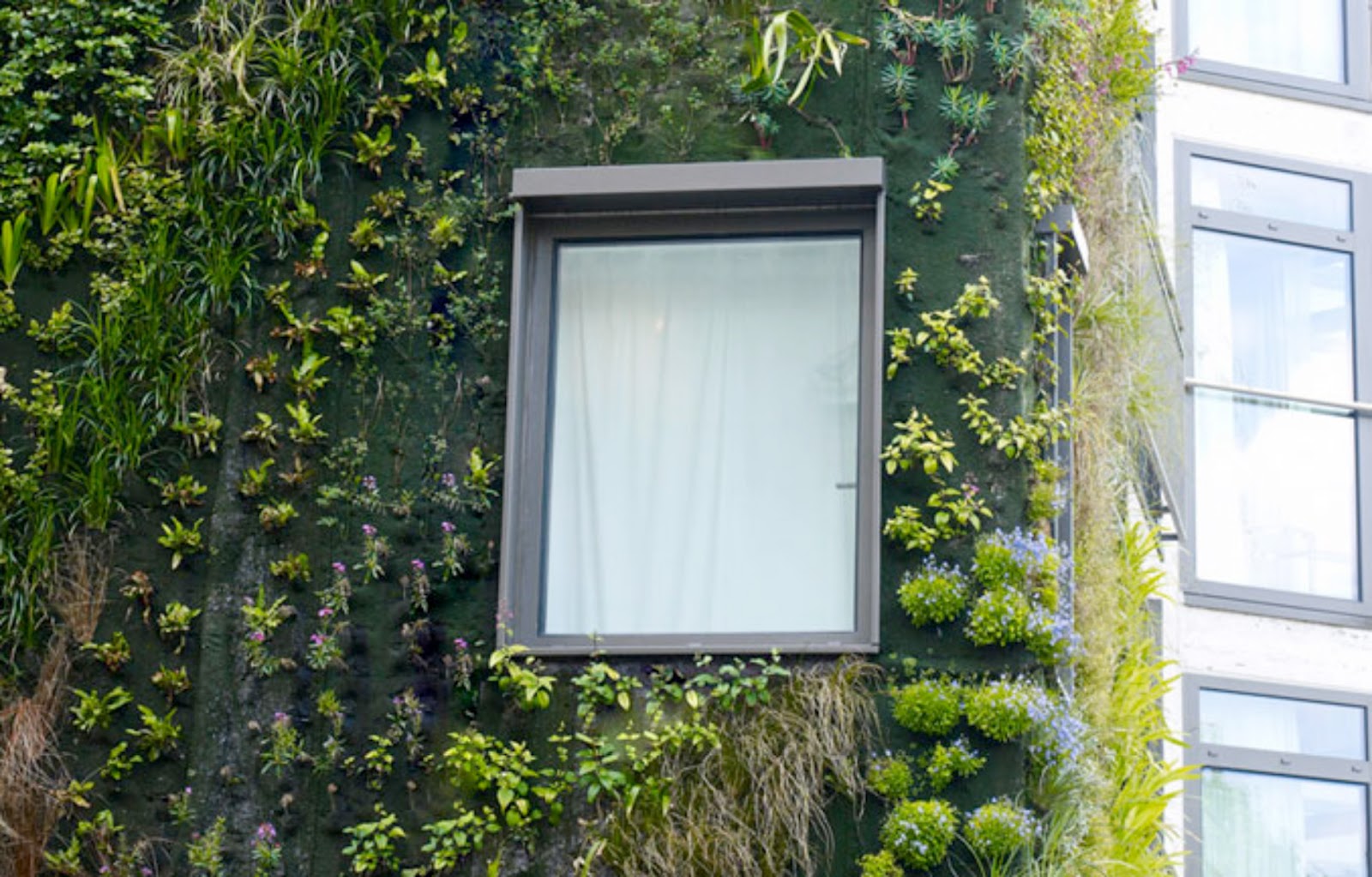 Living Architecture Daily London's green walls