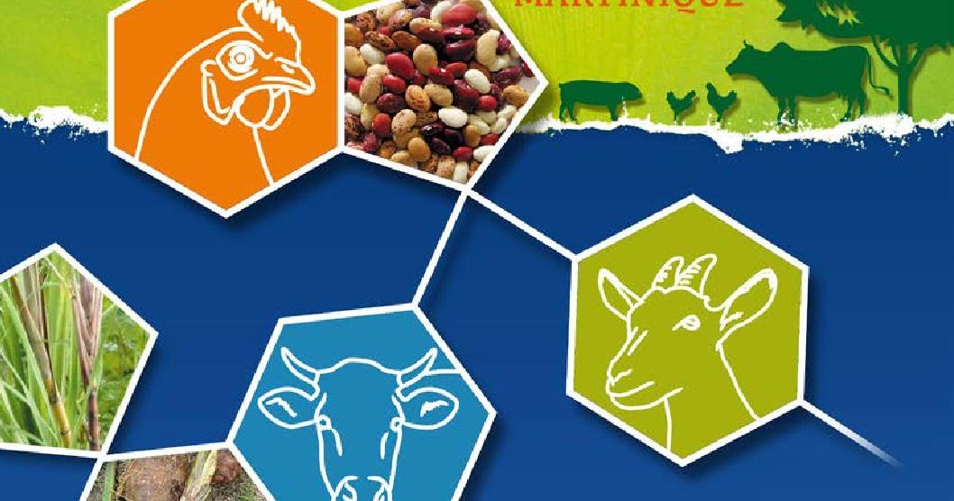 Page De Garde Alimentation Animal Business Plan revue scientifique: Alimentation animale fredon | La vie Vétérinaire