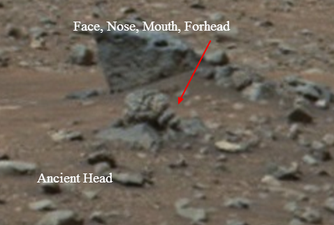 petrified head on mars martian head found on mars