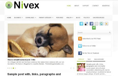Nivex Blogger Template