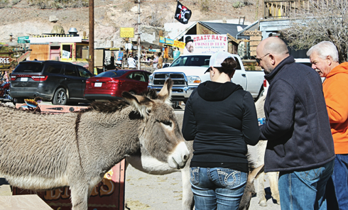 Oatman Arizona Route 66
