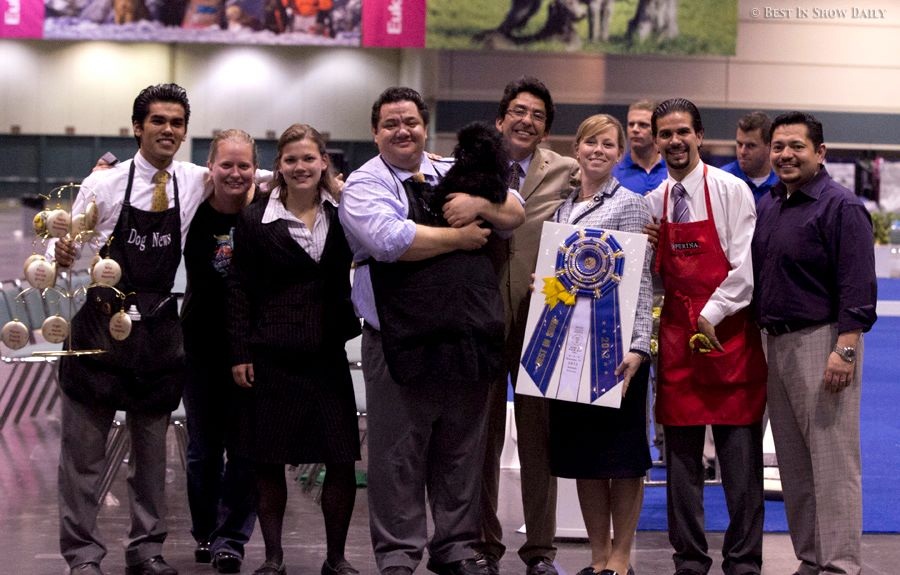 DOG SHOW POOP ORLANDO DAY ONE