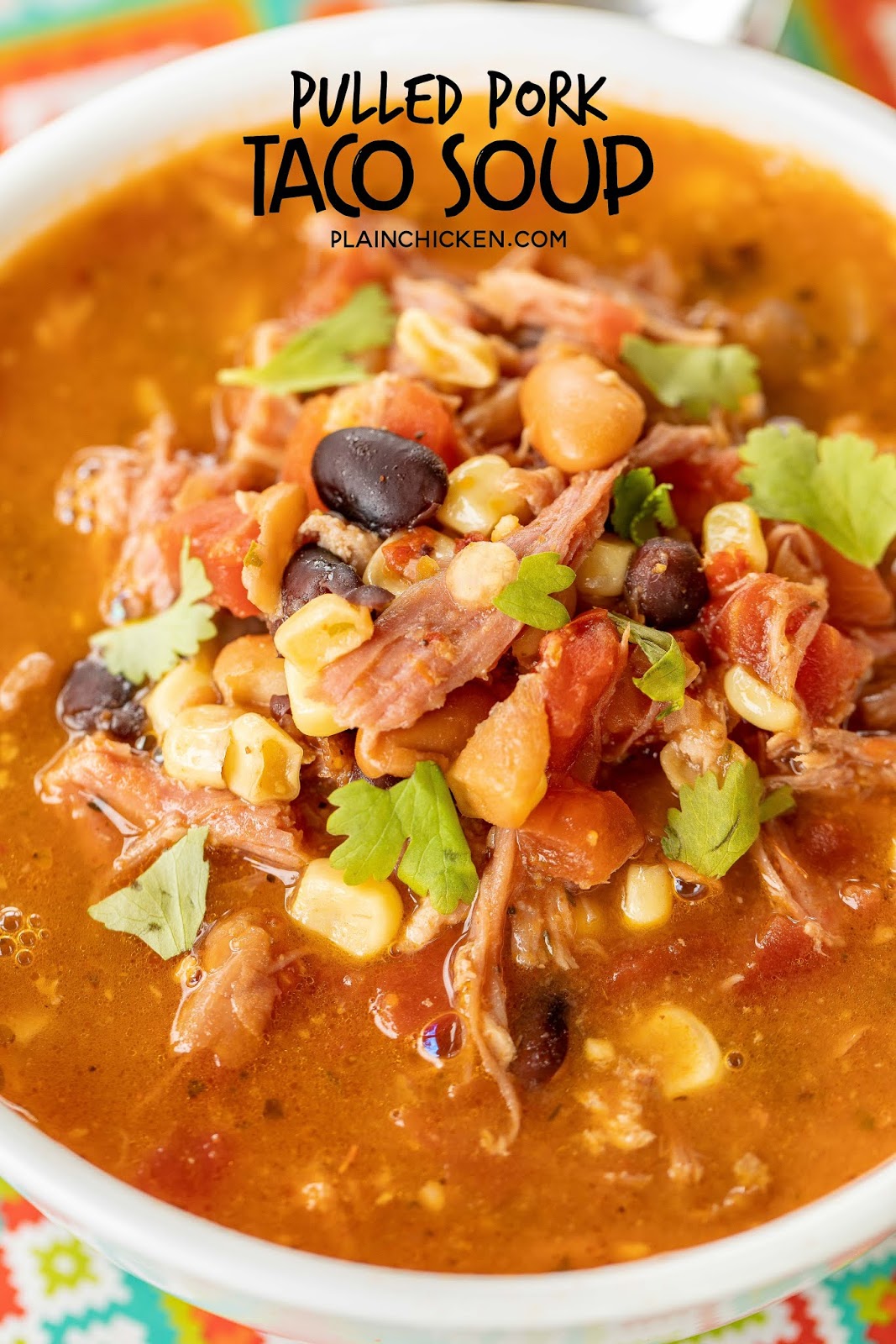 Pulled Pork Taco Soup Plain Chicken®