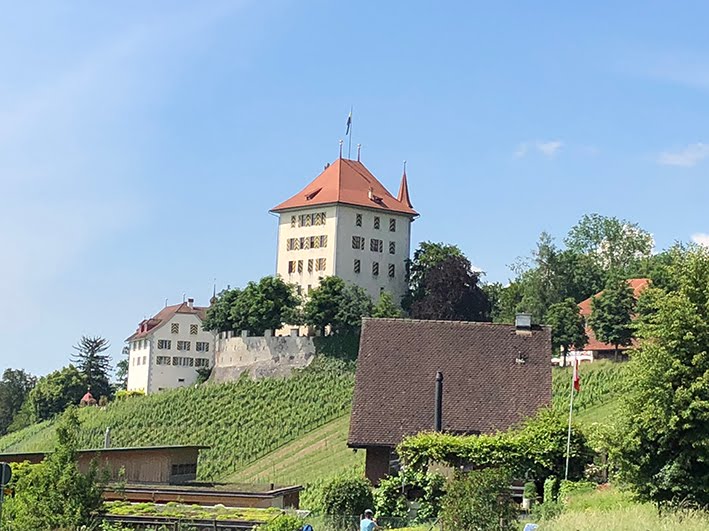 Auto Gegen Ov Eine Kleine Polemik Stadtblog