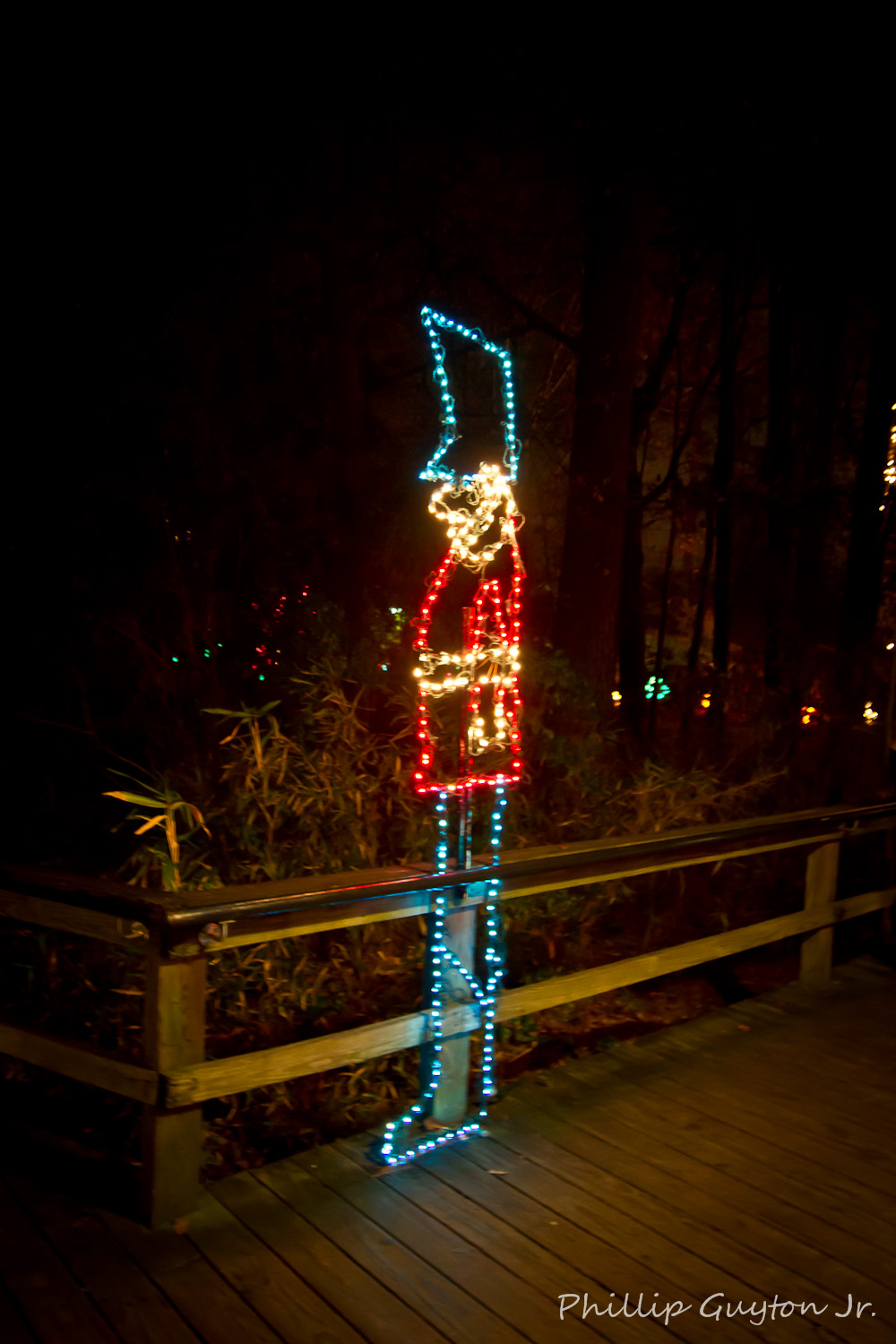 True Light Photography Riverbank Zoo's Lights Before Christmas