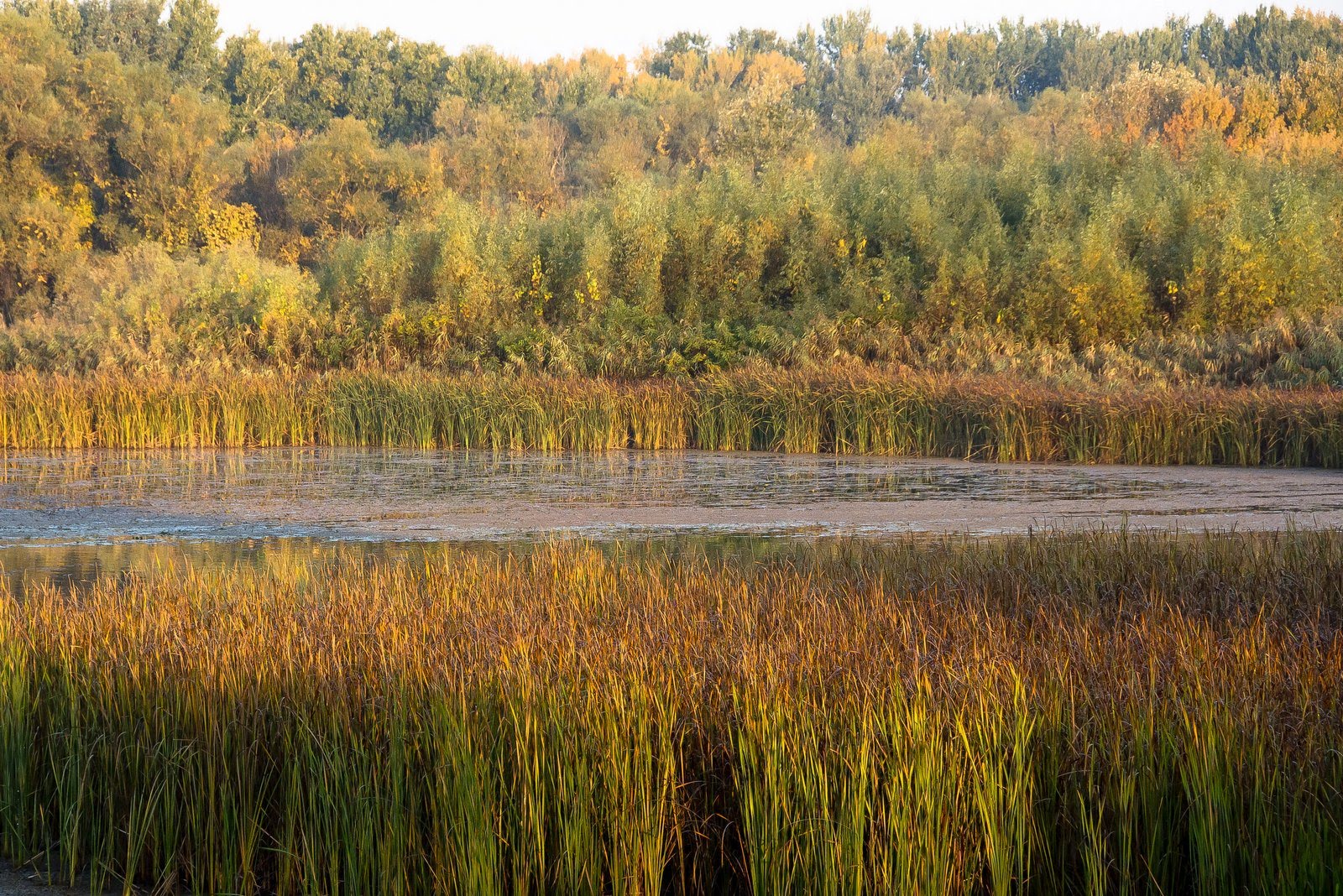 Pákász-tanösvény - A Tisza-tó érintetlen világa