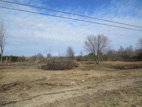 bulldozed trees and shrubs in a field