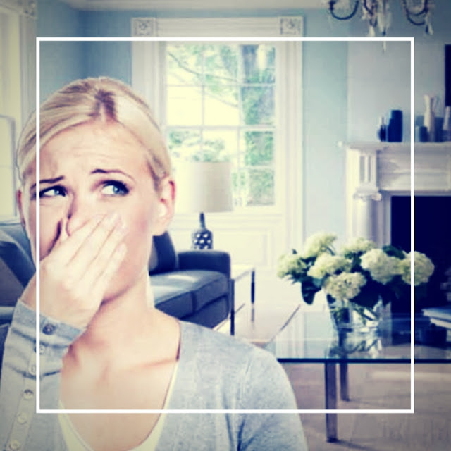 Do Air Purifiers Remove The Smoke Smell Passions of a SAHM