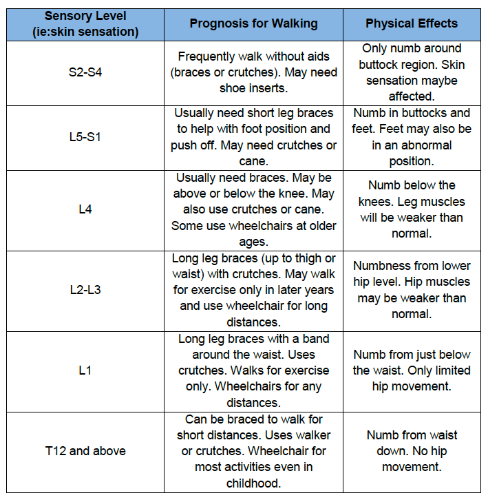 the hudsons fetal surgery info strength level chart