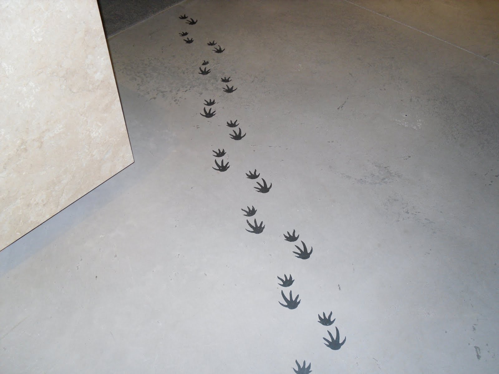 iguana footprint clipart - photo #44